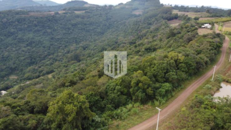 Áreas de terra, 30.000,00 m², à venda - Morro Stumm - Linha Nova