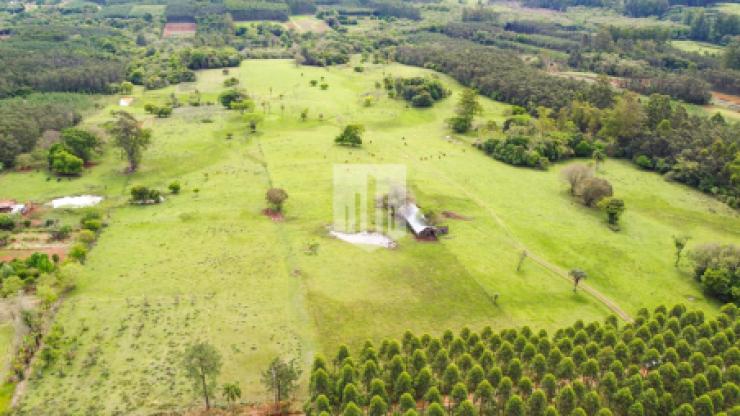 Áreas de terra, 201.778,36 m², à venda - Nova Vila - Ivoti