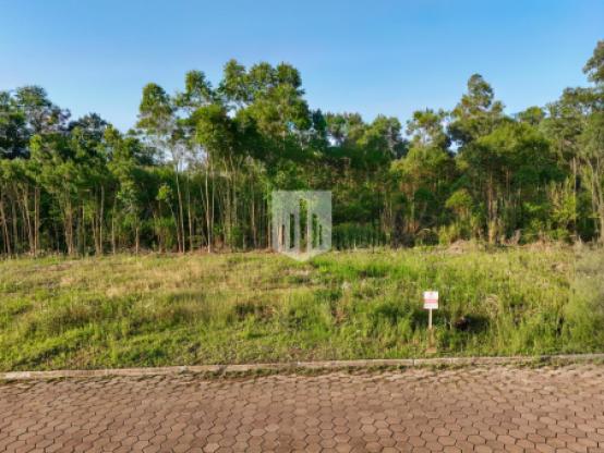 Terrenos, 443,29 m², à venda - Centro - Presidente Lucena