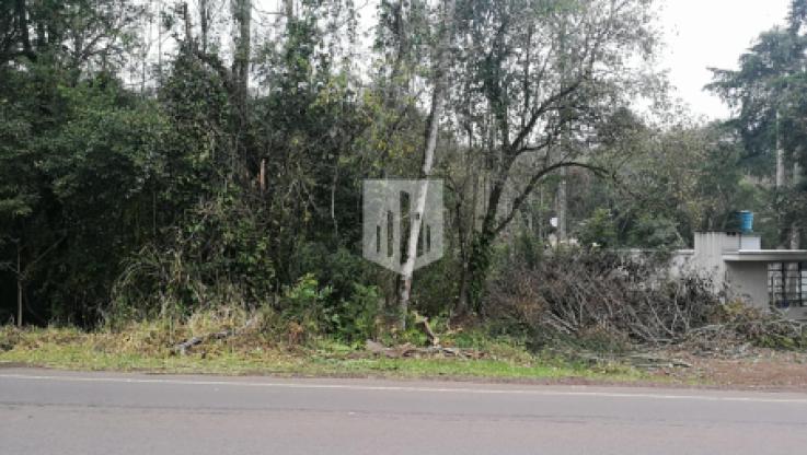 Terrenos, 1.438,00 m², à venda por R$ 370.000,00 - Palmares - Ivoti
