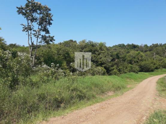 Áreas de terra, 70.000,00 m², à venda por R$ 750.000,00 - Centro - Lindolfo Collor