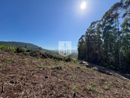 Áreas de terra, 2.783,50 m², à venda - Capela do Rosário - São José do Hortêncio