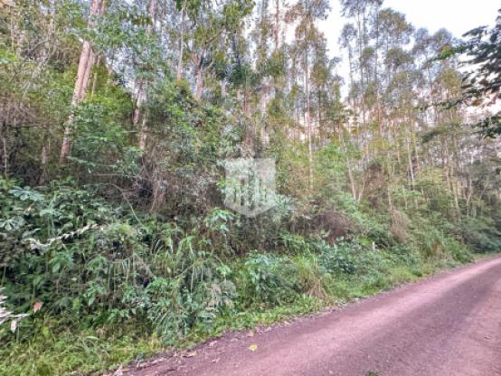 Áreas de terra, 54.255,54 m², à venda - Picada Feijão - Ivoti
