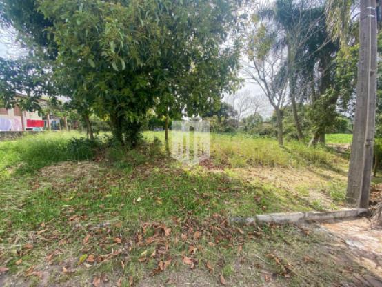 Terrenos, 690.000,00 m², à venda por R$ 425.000,00 - Palmares - Ivoti