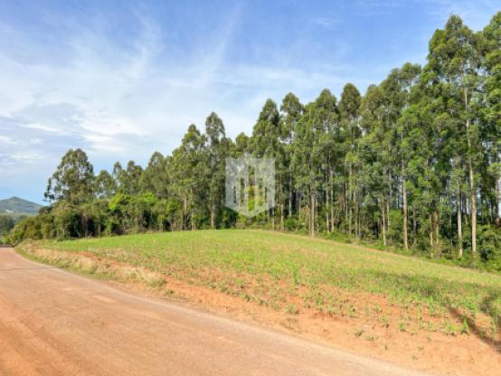 Áreas de terra, 5.570,28m², à venda - Nova Vila - Ivoti