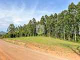 Áreas de terra, 5.570,28m², à venda - Nova Vila - Ivoti