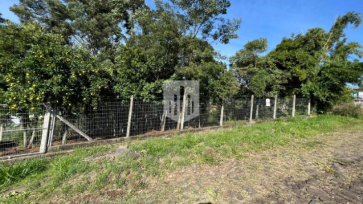 Terrenos, 589,95 m², à venda - Jardim Panorâmico - Ivoti