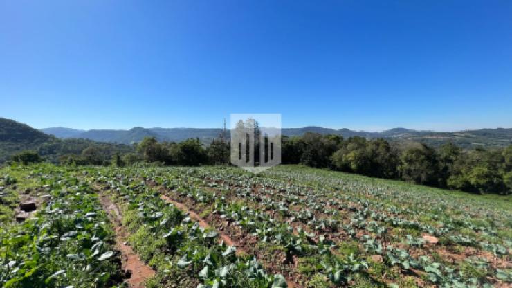 Áreas de terra, 30.809,15 m², à venda - Capela do Rosário - São José do Hortêncio